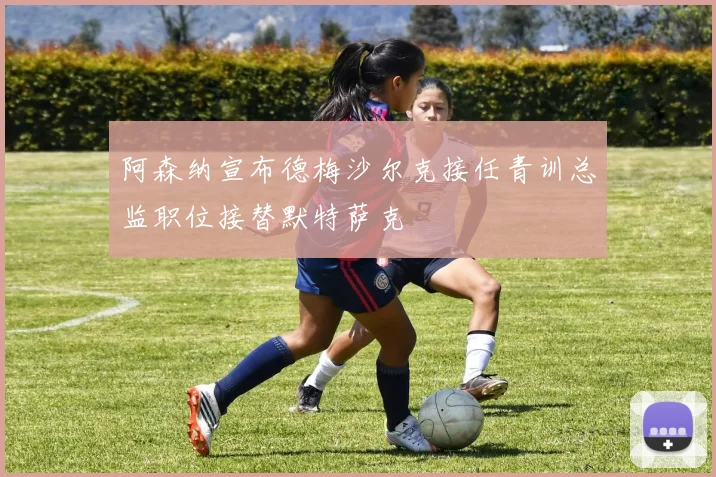 阿森纳宣布德梅沙尔克接任青训总监职位接替默特萨克