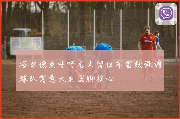塔尔德利呼吁尤文留住布雷默强调球队需意大利国脚核心